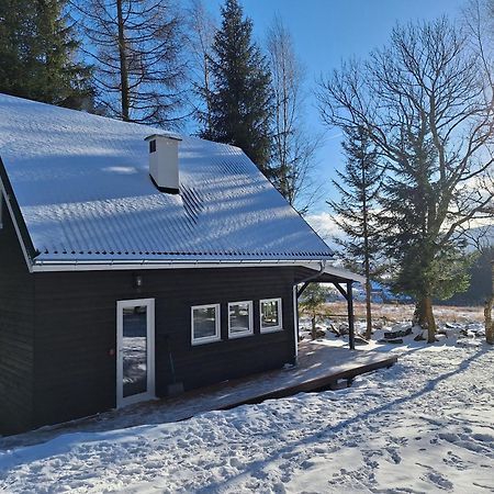 Domek Dorota Z Widokiem Na Gory Lasowka 5Km Do Zieleniec Ski Arena Екстер'єр фото